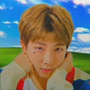 Meet your Posher, Your_jooniverse